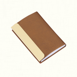 Hyatt Hotel & Resorts